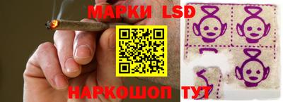 стаф Аргун