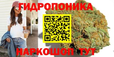 сатива Бузулук
