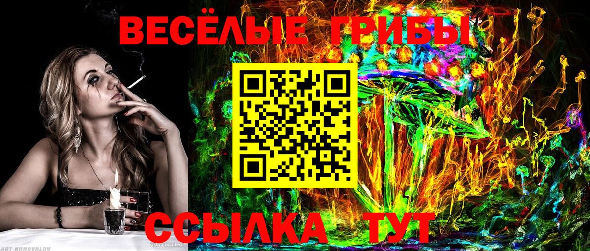 Галлюциногенные грибы Psilocybine cubensis  Галлюциногенные грибы мицелий  Вышний Волочёк  Вход с VPN 