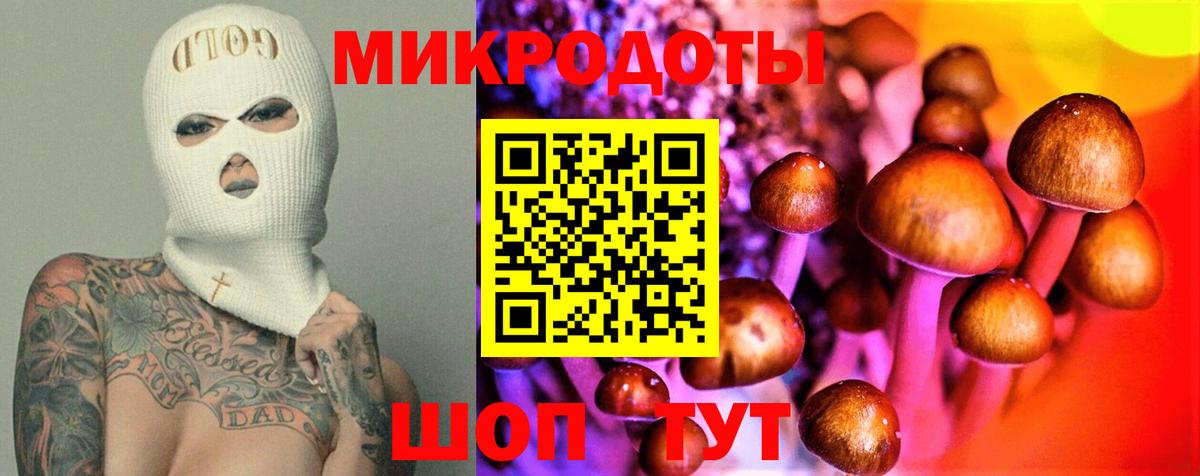Псилоцибиновые грибы ЛСД Вышний Волочёк